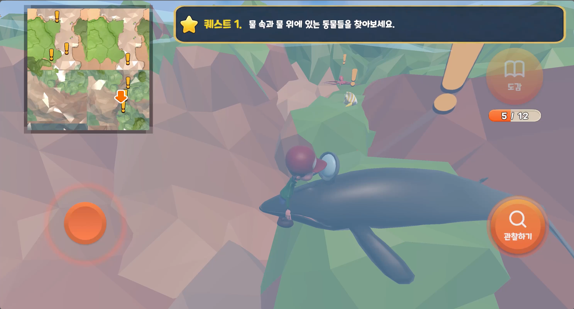 물속에 사는 동물의 특징 알아보기