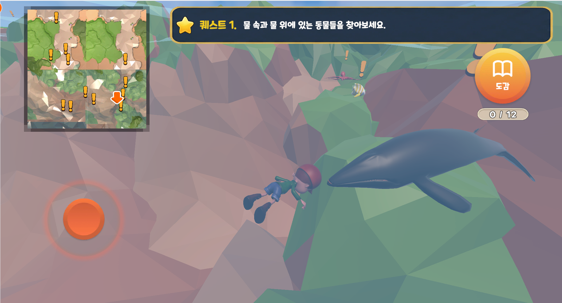 물속에 사는 동물의 특징 탐구