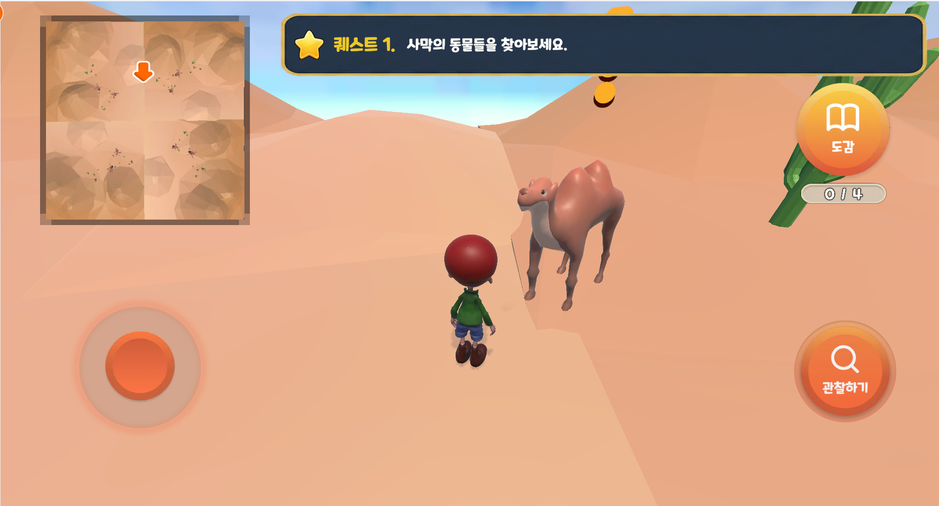 사막에 사는 동물의 특징 탐구