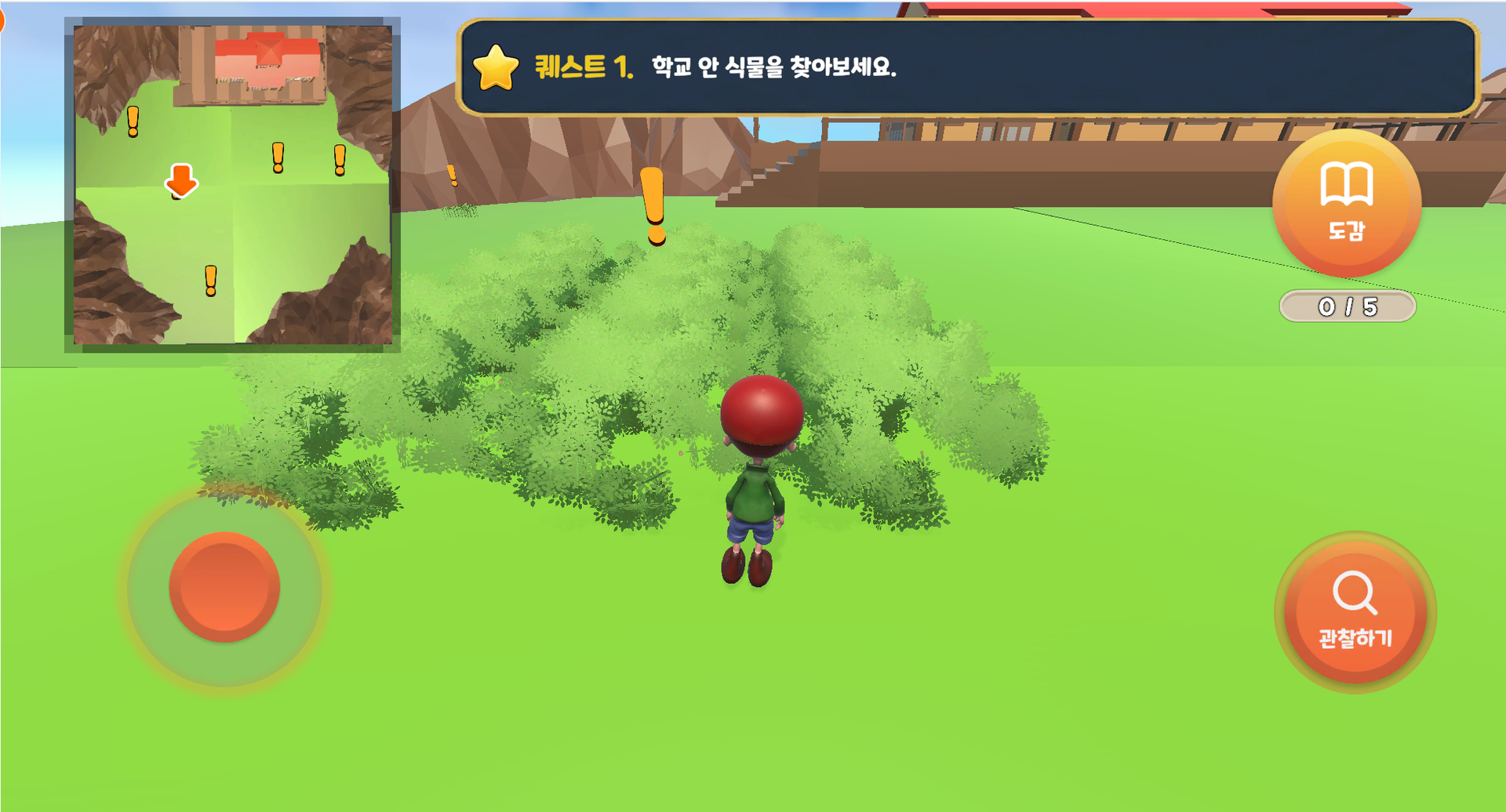 식물의 관찰과 분류