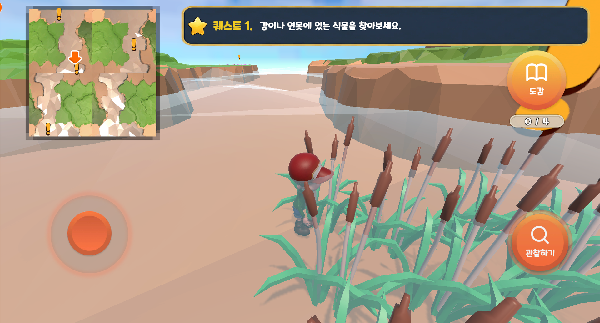 강과 연못에 사는 식물 탐구