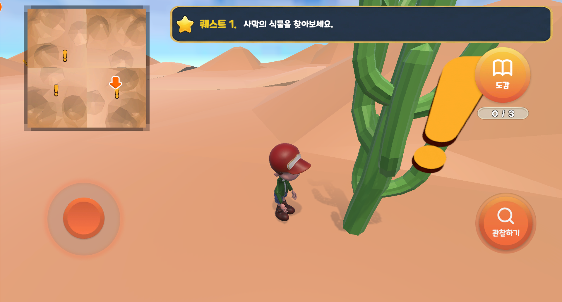 사막에 사는 식물 탐구