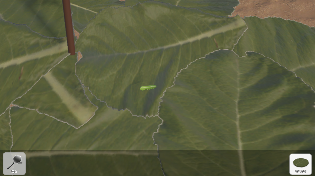 곤충의 한살이 관찰과 표현