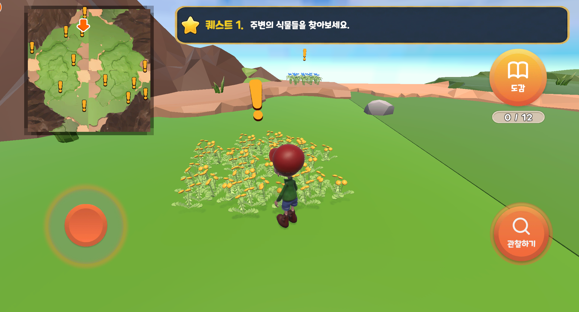 여러 가지 식물의 특징 탐구