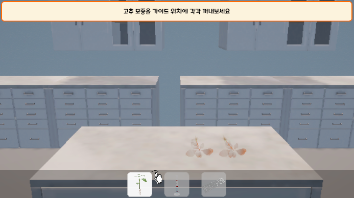 뿌리의 구조와 기능 탐구