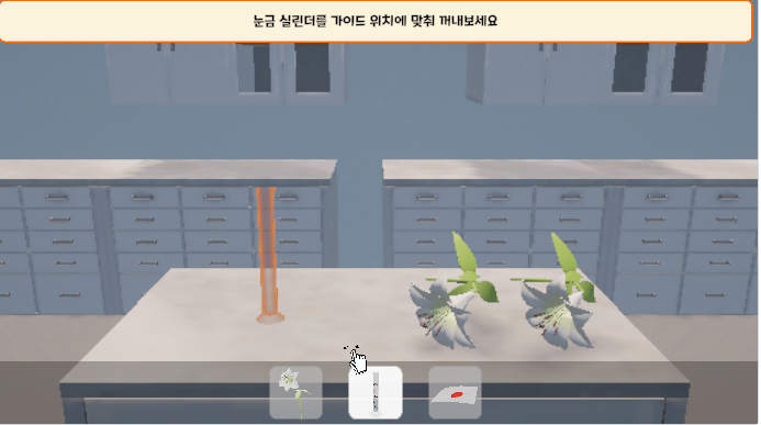 줄기의 구조와 기능 탐구