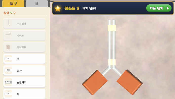 호흡 기관의 구조와 기능 탐구