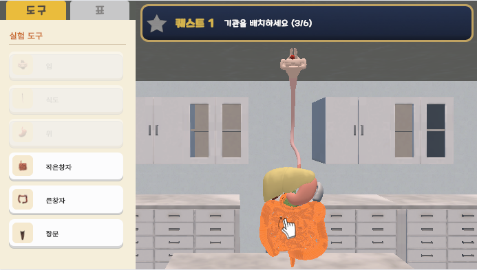 소화 기관의 구조와 기능 탐구
