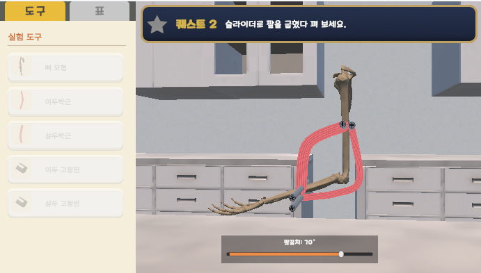 뼈와 근육의 구조와 움직임 원리 탐구