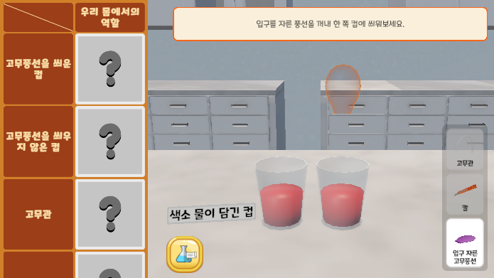 순환 기관의 구조와 기능 탐구